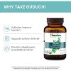 Himalaya Organic Guduchi for Active Immune Support and Cellular Defense, 700 mg, 60 Caplets, 1 Month Supply - 4 of 4
