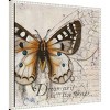 22"x22" Living your Dreams I Butterfly by Patricia Pinto Framed Canvas Wall Art Print White - Amanti Art: Modern Style, Polystyrene Frame - 2 of 4