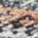 sage, cream, black, mustard, mediumgreen, lightblue