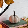 TopComfy Decorative Object Polka Dot Pumpkin Set Stylish Fall Decor for Harvest Festival Display, Off-White, 5.2"*5.2"*6" - 2 of 4