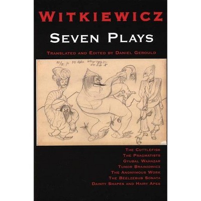 Witkiewicz - by  Stanislaw I Witkiewicz (Paperback)