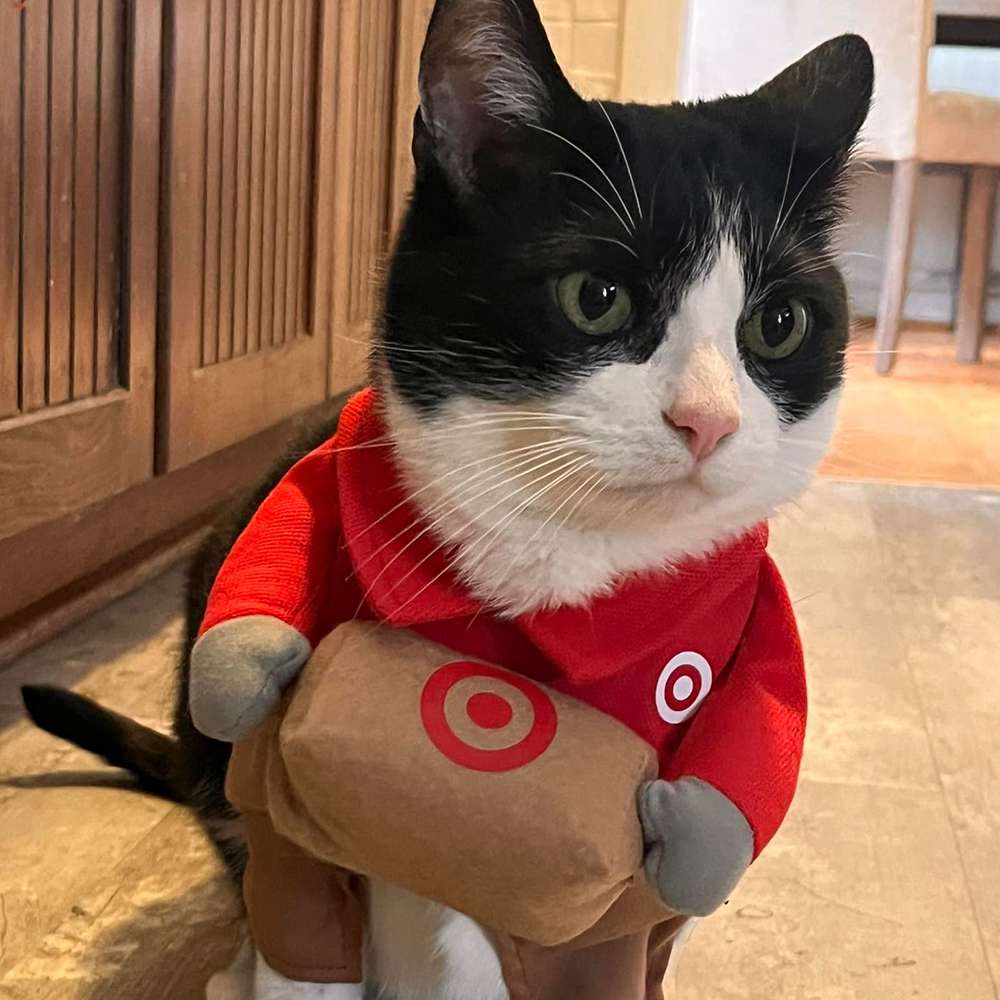 user image by @brookes_vanness, Halloween Target Delivery Dog and Cat Frontal Costume - Hyde & EEK! Boutique™