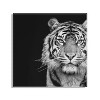 23" x 23" Tiger Minimalist Animal Portrait by The Creative Bunch Floating Acrylic Wall Canvas Black - Kate & Laurel All Things Decor - 2 of 4
