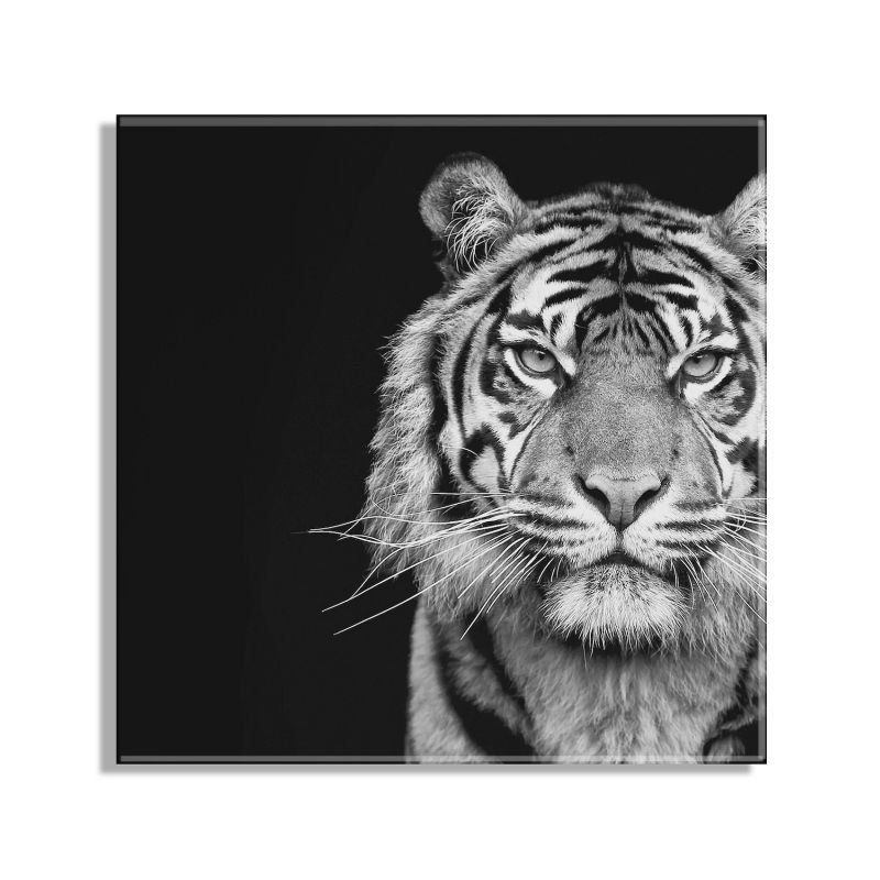 23&#34; x 23&#34; Tiger Minimalist Animal Portrait by The Creative Bunch Floating Acrylic Wall Canvas Black - Kate &#38; Laurel All Things Decor, 3 of 7