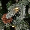 Seasonal LLC Lexington Fir Lightly Dusted Pre-Lit Tree with Glass Bulb Warm White LED Lights and Pinecones - 3 of 4