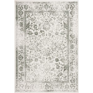 Adirondack ADR109 Non-Shedding Power Loomed Indoor Rug - Safavieh - 1 of 4