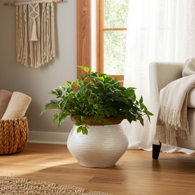 Modern Ceramic Flower Pot and Planter - Indoor and Outdoor Use - Earthy Decorative Accent for Room, Garden, Patio, or Entryway Decor - 7" White & Tan