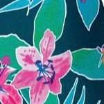 mediterranean floral