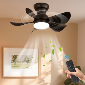 30" Black 5-Blade Flush Mount Ceiling Fan with LED Light, Modern ABS Blades and Reversible Motor for Bedroom or Living Room - 1 of 4