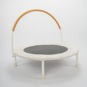 HomeStock 36 inch Indoor and Outdoor Toddler Trampoline with bungie cords, Powder Coated Rust Resistant, Perfect for Young Children - 1 of 4