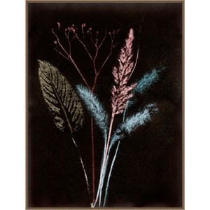 Amanti Art Bouquet 4 Dark by Pernille Folcarelli Framed Canvas Wall Art - 1 of 4