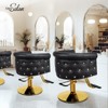 Karl Home Black Gold Modern Heavy Duty Hydraulic Swivel Hair Stylist Salon Chair with Curved Backrest - 2 of 4