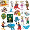 WB 100: Looney Tunes Mashup 50ct Vinyl Large Deluxe Stickers Variety Pack - 2 of 4