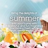Air Wick Scented Oil Air Freshener Refills - Summer Delights - 4pk - 4 of 4