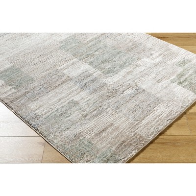 Hauteloom Anaisa Living Room, Bedroom Area Rug - Contemporary - High Pile