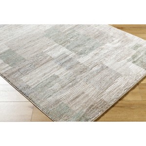 Hauteloom Anaisa Living Room, Bedroom Area Rug - Contemporary - High Pile - 1 of 4
