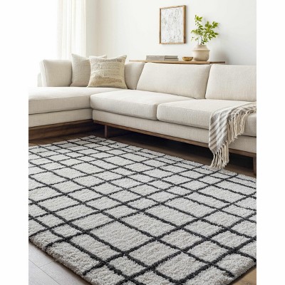 Hauteloom Yaotl Checkered Plush Carpet