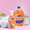 Softsoap Antibacterial Liquid Hand Soap Pump - 2 of 4