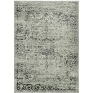 Vintage VTG113 Power Loomed Indoor Skid-Resistant Rugs - Safavieh - 1 of 4