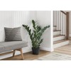 Gulches 29in Artificial ZZ Tree in Black Pot Green 72 Real Touch Leaves Indoor Faux Floor Plant No Maintenance Decorative Greenery - 3 of 4