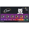 Cesar Classic Loaf in Sauce Liver, Chicken, Turkey, Steak and Beef Flavor Variety Pack Small Breed Wet Dog Food - 3.5oz/36ct - 2 of 4