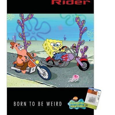 clear push pins bundle