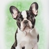 Collections Etc Dog Travel Mug - 2 of 2