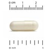LactoBif Pet Probiotics, 5 Bllion CFU, For Dogs & Cats, 9 Active & Clinically Researched Probiotic Strains, Individually Double-foil Blister Sealed, - 3 of 4