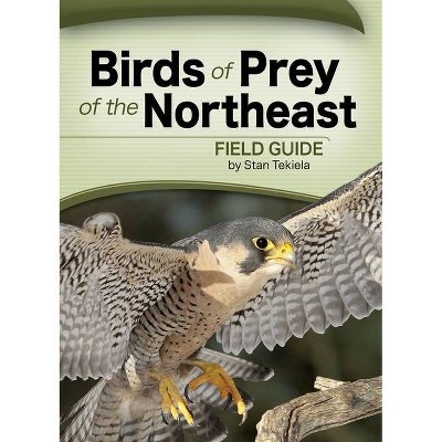 Birds of Prey of the Northeast Field Guide - (Bird Identification Guides) by  Stan Tekiela (Paperback)