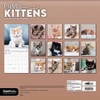 Trends International 2026 Cuddly Kittens 12"x12" Wall Calendar - 4 of 4