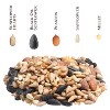 Songbird Selections Wild Bird Food 5 LB - 3 of 4