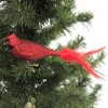 Old World Christmas 2.25 In Large Cardinal Ornament Red Bird Clip-On Tree Ornaments - 3 of 3