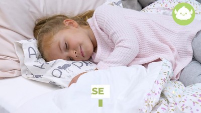 Soft Organic Cotton Toddler Pillowcase with Cute Prints - Standard/Queen