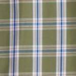 safari green check