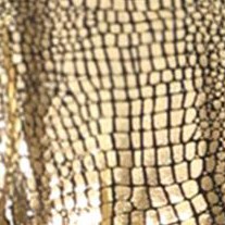 golden