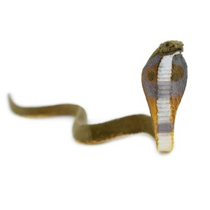Collectible Wildlife Gifts | Common Indian Cobra, Rubber Snake, Reptile, Realistic, Hand Painted, Toys,  Gift,     4 Inches.    F3130 B225 - 1 of 4