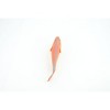 Collectible Wildlife Gifts | Red Snapper, Sebastes miniatus, Saltwater, Rubber Fish, Realistic, Model,  Toy, Gift,       4 1/2"        F0416  B378 - 4 of 4