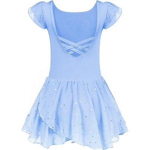 Arshiner Girls Ruffle Sleeve Ballet Dance Dress Tutu Skirted Leotard - 1 of 4