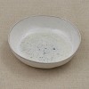 Split P Blue Speckled Serving Bowl - 2 of 3