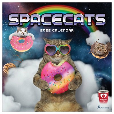 2022 Wall Calendar Space Cats - The Time Factory