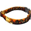 Country Brook Petz Premium Dog Collar - Halloween Collection - 3 of 4