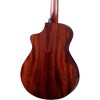 Breedlove Oregon All-Myrtlewood CE Concertina Acoustic-Electric Guitar Old Fashioned - 2 of 4