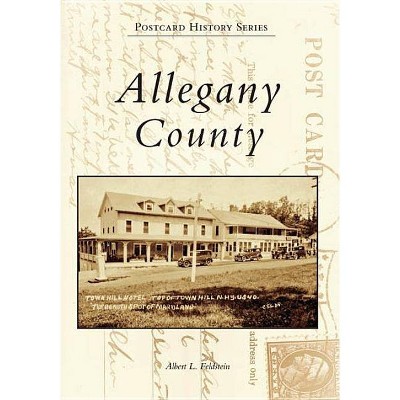 Allegany County - (Postcard History) by  Albert L Feldstein (Paperback)