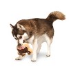 Midlee Reindeer Sugar Cookie Dog Toy - 2 of 4