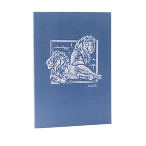 Net Abide Bible Journal - Daniel, Paperback, Comfort Print - by  Thomas Nelson - 1 of 1