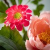 Sullivans Vibrant Floral Wreath - 2 of 3