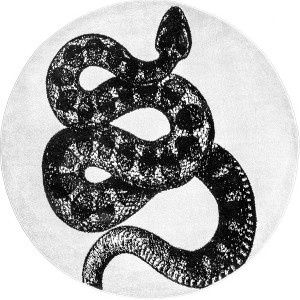Nuloom Thomas Paul Serpent Indoor Area Rug - 1 of 4