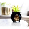 Silver Buffalo Harry Potter Hogwarts Cauldron 8.25 x 4.5 x 4.5 Inch Ceramic Planter w/ Artificial Plant - 2 of 4