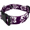 Country Brook Petz HossFit Jr Wide Deluxe Dog Collar - Summer Breeze Collection - 2 of 4