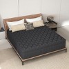 CHEVNI 12-14 Inch Mattress in a box Hybrid Spring Memory Foam Medium Firm Black - 2 of 4